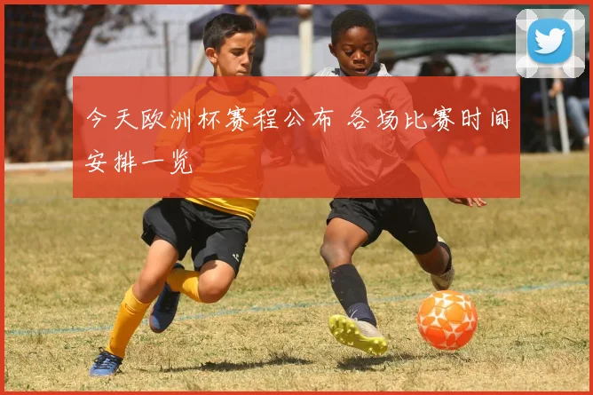 今天欧洲杯赛程公布 各场比赛时间安排一览