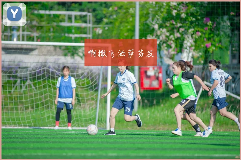 中国女排三比零横扫美国队提前锁定奥运小组出线席位