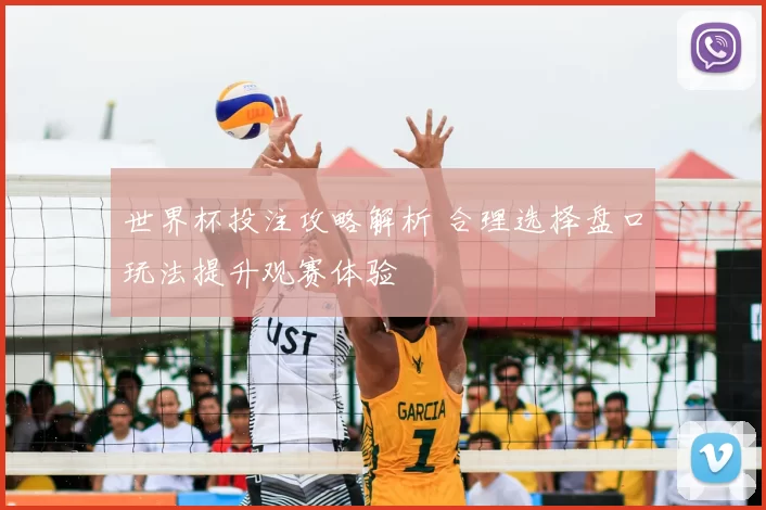 世界杯投注攻略解析 合理选择盘口玩法提升观赛体验