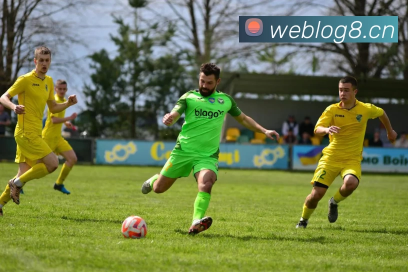 App Interface Preview