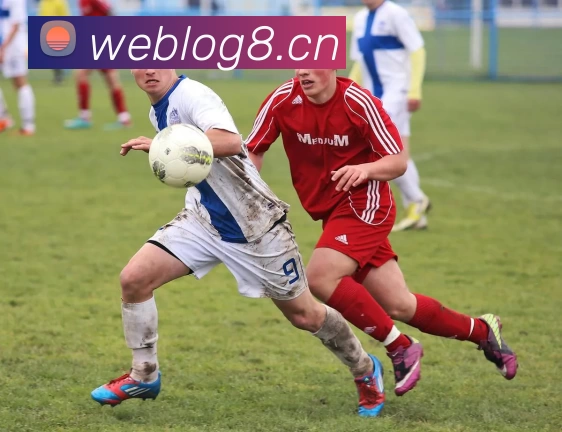 Z6尊龙·凯时(中国) - 官方网站APP 封面图